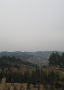 真心想让你幸福